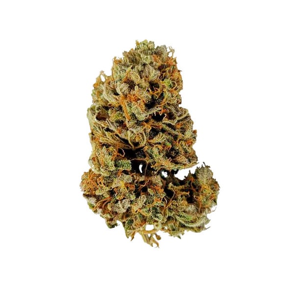 White Widow Auto - Gas Station