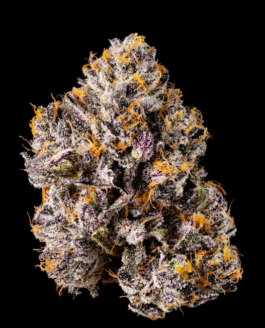 Zangria S1 (Thin Mint Cookies x Original Z) 3-Pack