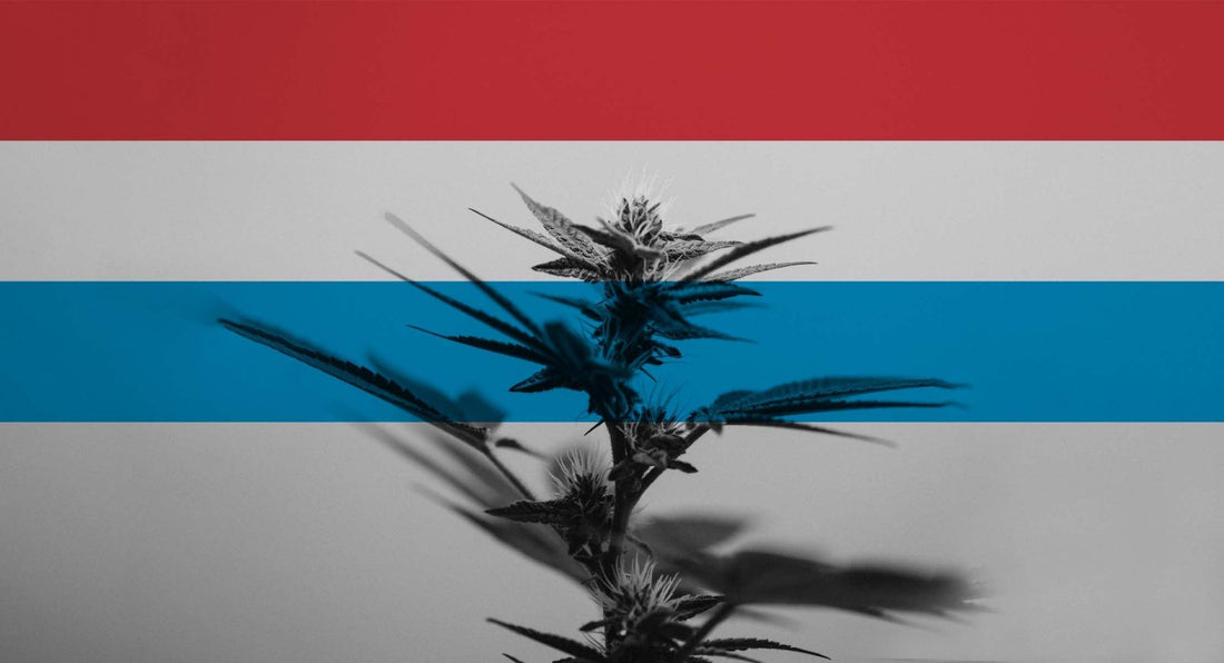 Let's fucking grow, Lëtzebuerg! 🇱🇺💚 - Gas Station