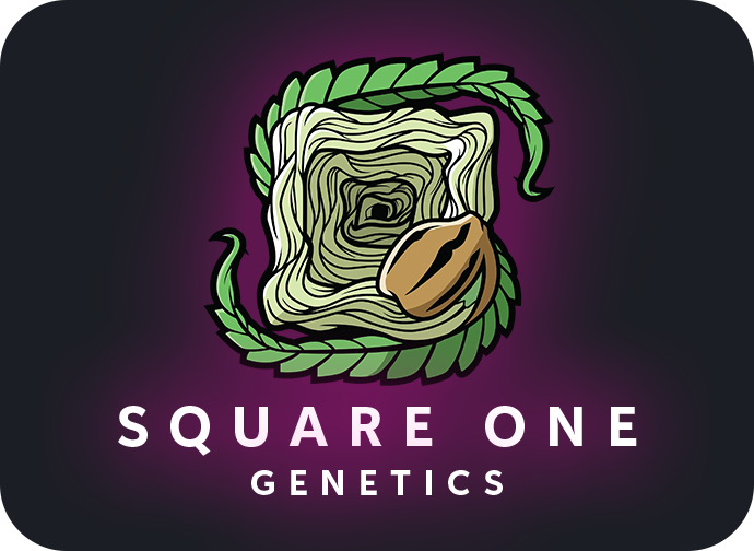 Square One Genetics Gas Station - Your partner from seed to smoke π