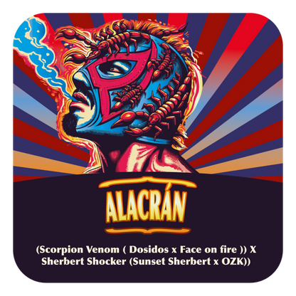 Alacrán (Scorpion Venom x Sherbert Shocker) FEM 5-Pack