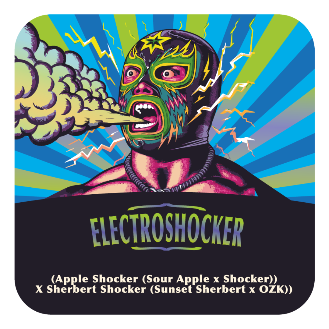 Electroshocker (Apple Shocker x Sherbert Shocker) FEM 5-Pack