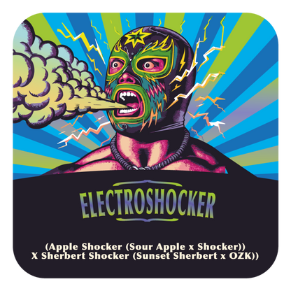 Electroshocker (Apple Shocker x Sherbert Shocker) FEM 5-Pack