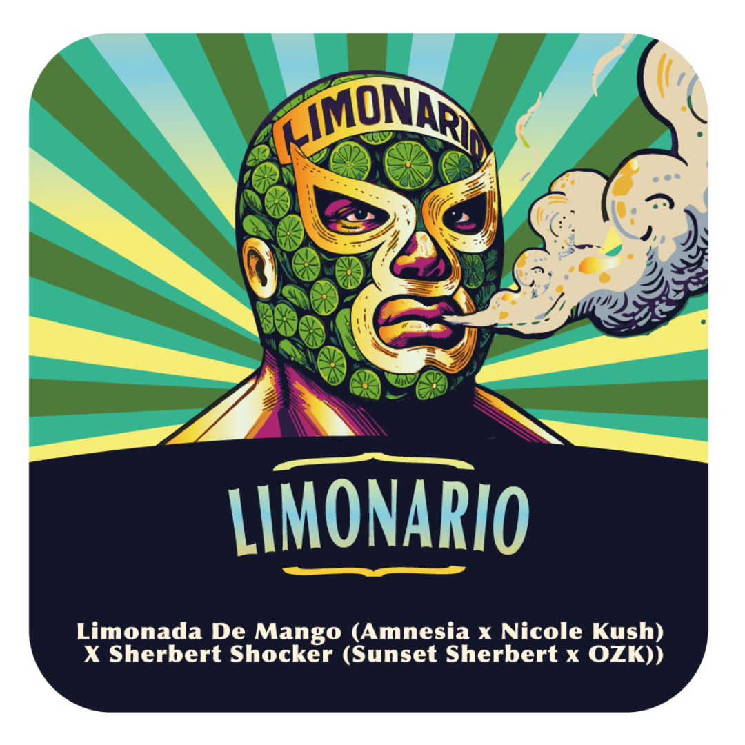 Limonario (Limonada de Mango x Sherbet ShockerI) FEM 5-Pack