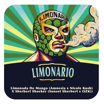 Limonario (Limonada de Mango x Sherbet ShockerI) FEM 5-Pack