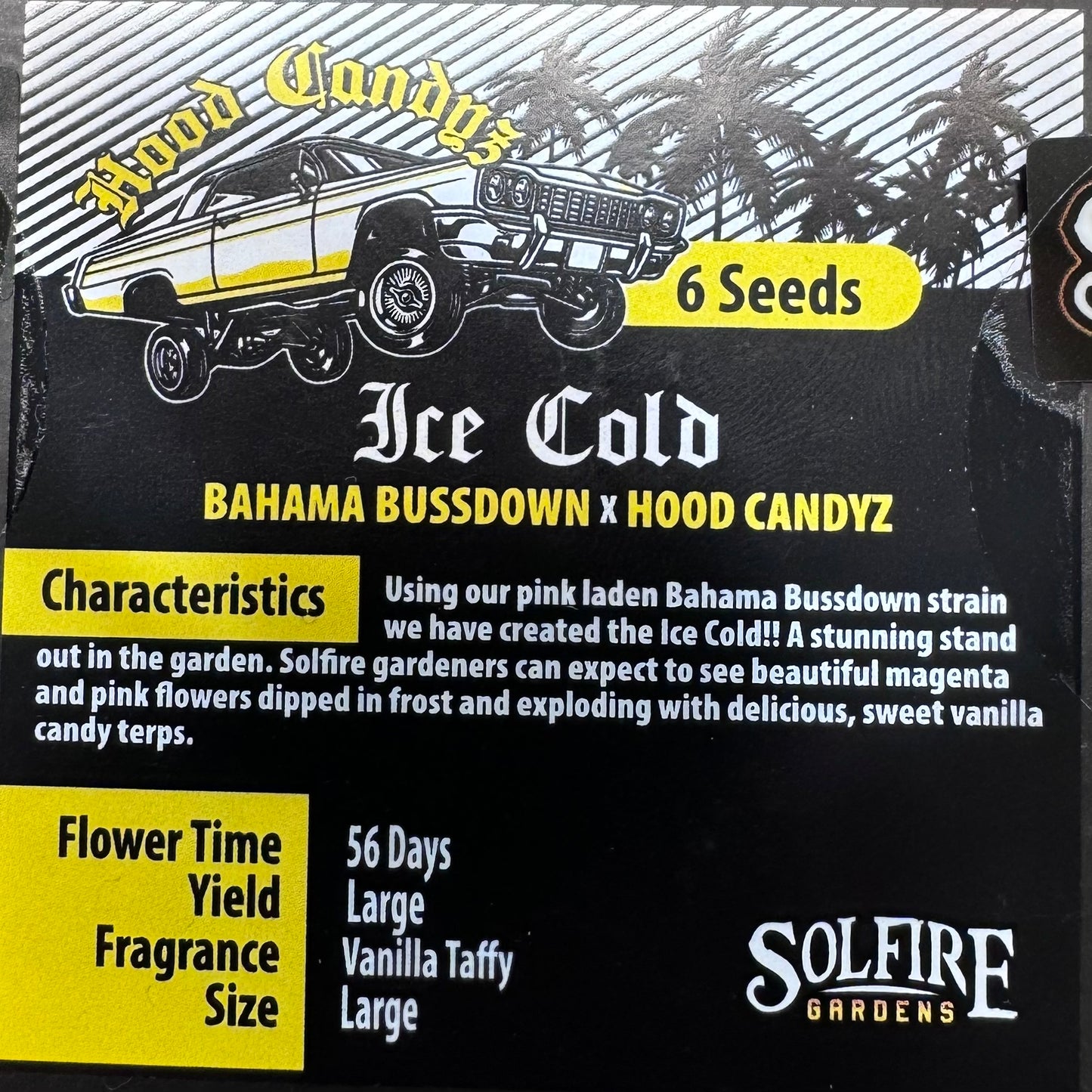 Ice Cold 6-Pack (Bahama Bussdown x Hood Candyz)+ 3x Section A (Apple Fritter x Hood Candyz) Fems