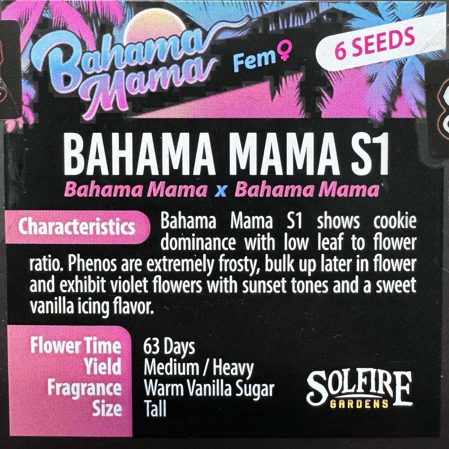 Bahama Mama S1 6-Pack (Bahama Mama x Bahama Mama) + 3x Section A (Apple Fritter x Hood Candyz) Fems