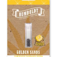 Golden Sands (GMO x Kashmir OG x Blackberry Kush) 5 seeds