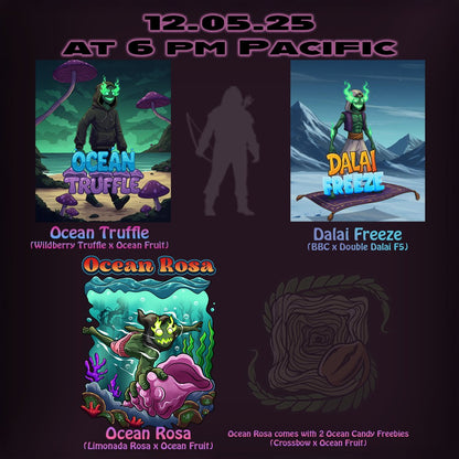 Dalai Freeze (BBC x Double Dalai F5) 10 regular seeds