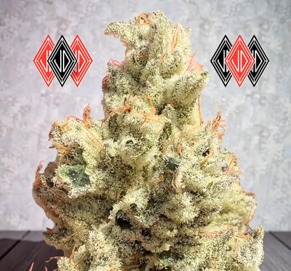 Head Rush (Meltdown x The Smooch) Reg 12 seeds