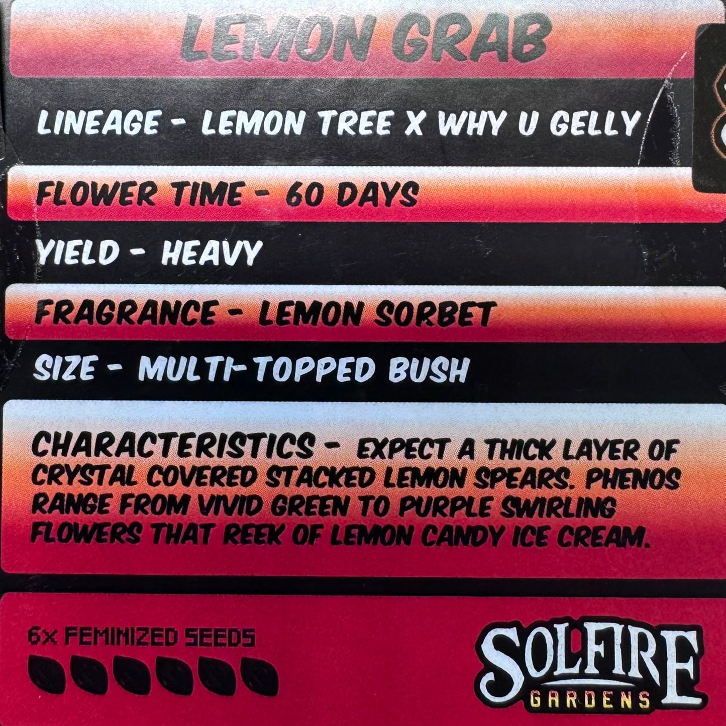 Lemon Grab 6-Pack (Lemon Tree x Why U Gelly?) + 3x Section A (Apple Fritter x Hood Candyz) Fems