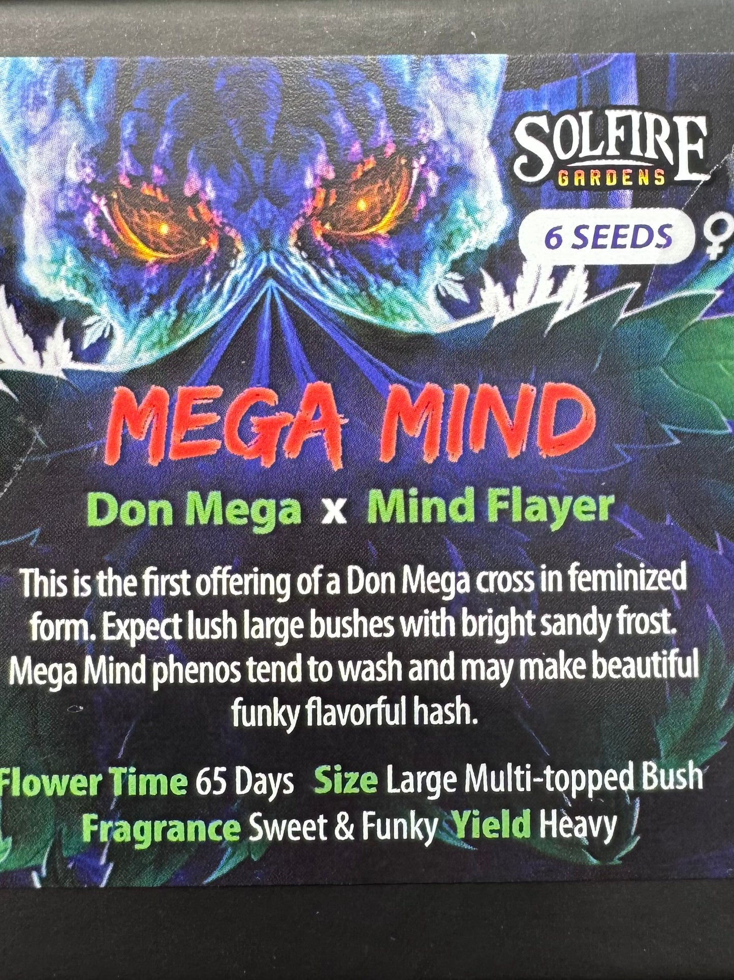 Mega Mind 6-Pack (Don Mega x Mind Flayer) + 3x Section A (Apple Fritter x Hood Candyz) Fems