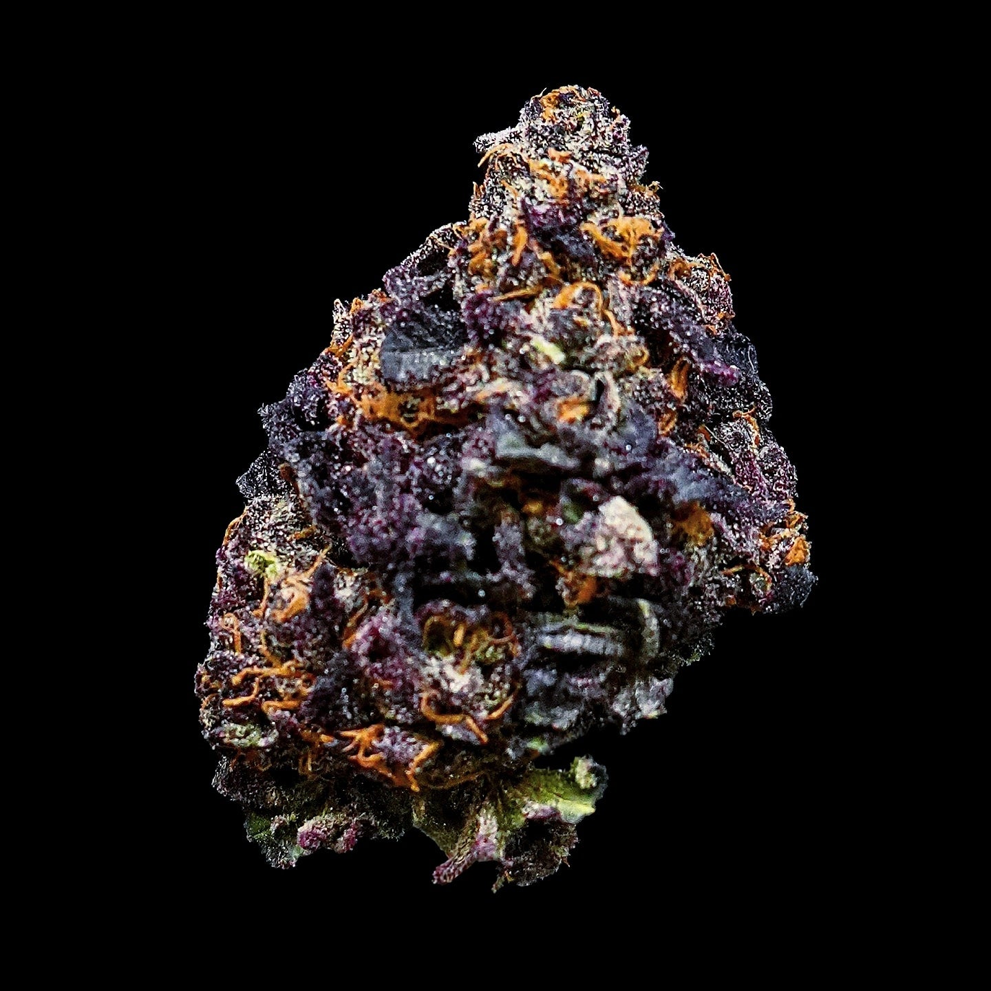 Gary Satan (Gary Payton x Jealousy) 6 seeds