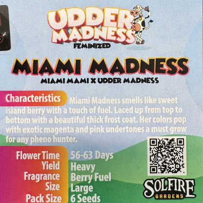 Miami Madness 6-Pack (Miami Mami x Udder Madness) + 3x Section A (Apple Fritter x Hood Candyz) Fems