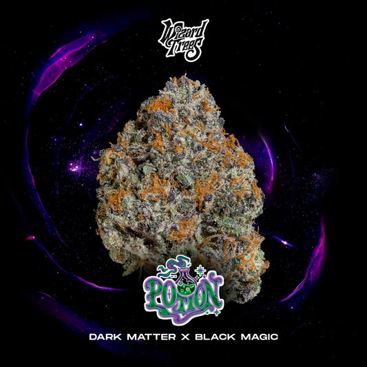Potion (DARK MATTER x BLACK MAGIC) 3 seeds