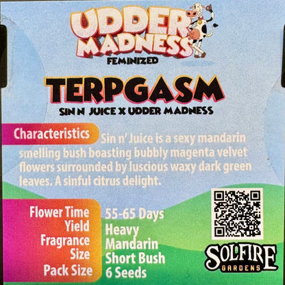 Terpgasm 6-Pack (Sin N’ Juice x Udder Madness) + 3x Section A (Apple Fritter x Hood Candyz) Fems