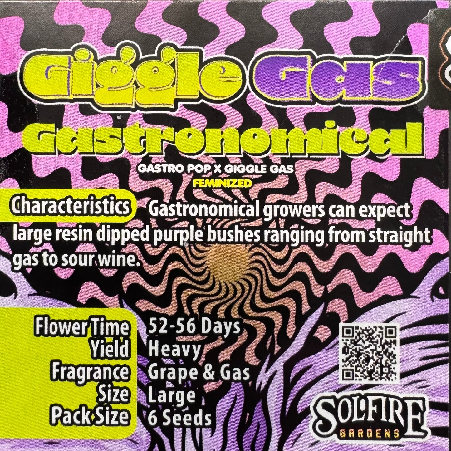 Gastronomical 6-Pack (Gastro Pop x Giggle Gas) + 3x Section A (Apple Fritter x Hood Candyz) Fems