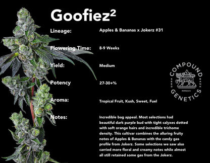 Goofiez² (Apples & Bananas x Jokerz #31) 7-pack