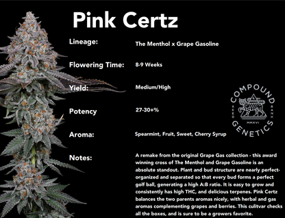 Pink Certz (The Menthol x Grape Gasoline) 7-Pack