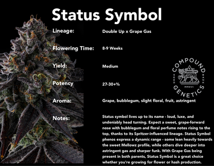 Status Symbol (Double Up x Grape Gas) 7-Pack