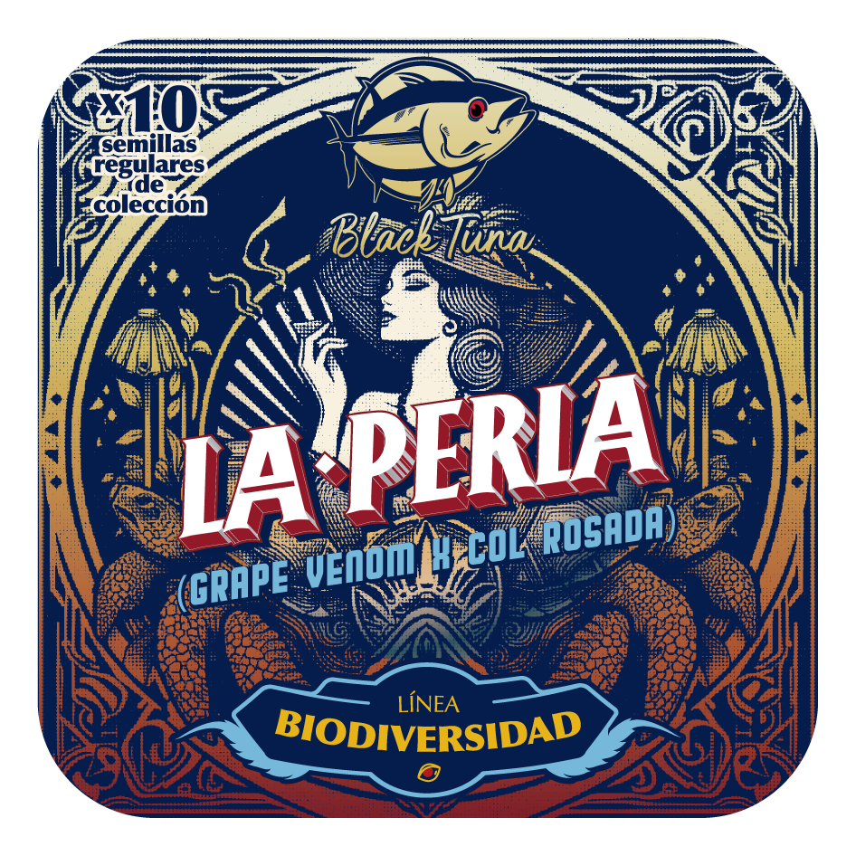 La Perla (Grape Venom x Col Rosada) 10-Pack Regular