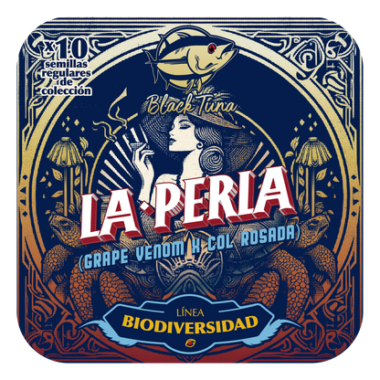 La Perla (Grape Venom x Col Rosada) 10-Pack Regular