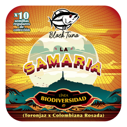 La Samaria (Toronjaz x Colombiana Rosada) 10-Pack Regular