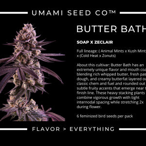 Butter Bath (Soap x ZeClair) 6 seeds + 3 Sour D Zoda