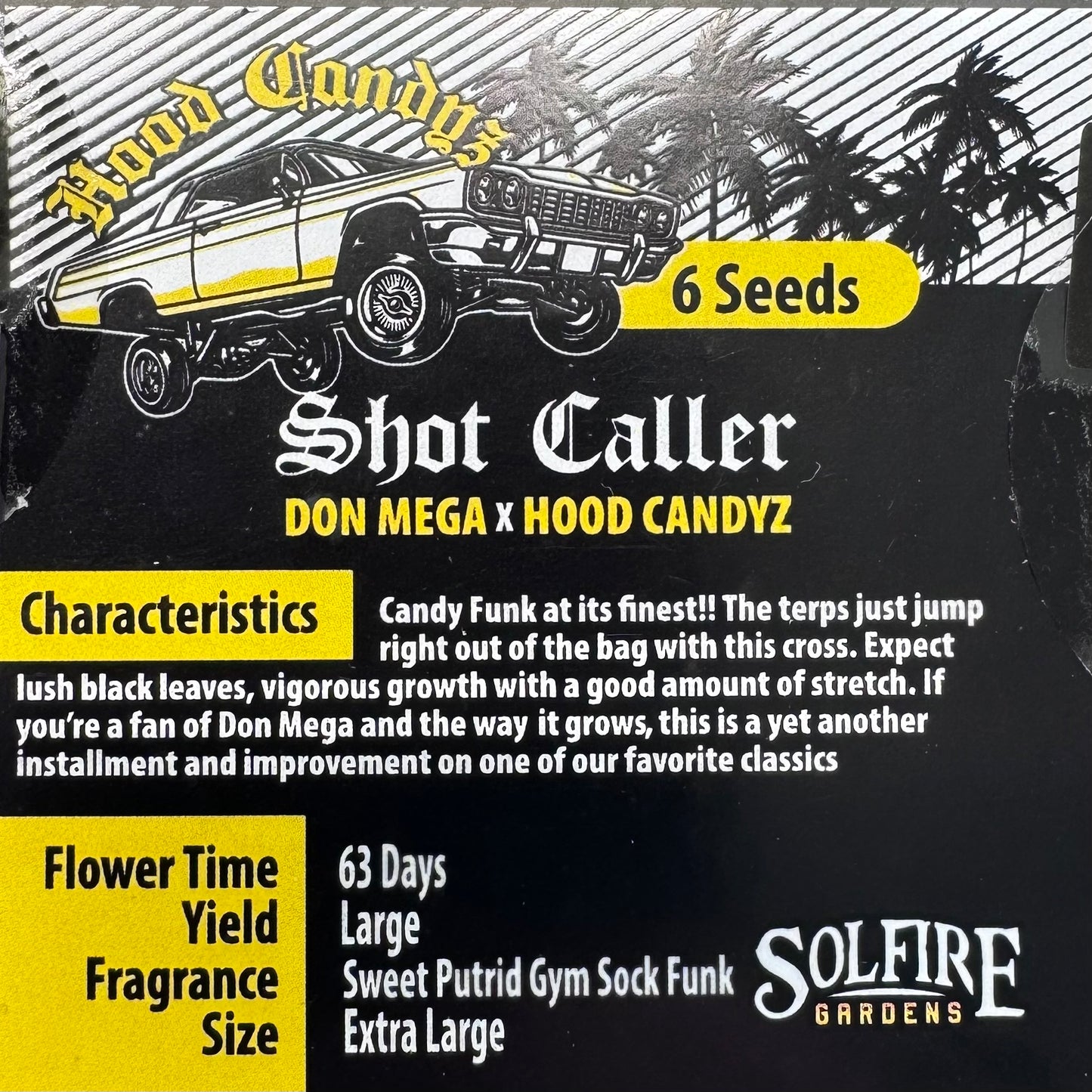 Shot Caller 6-Pack (Don Mega x Hood Candyz) + 3x Section A (Apple Fritter x Hood Candyz) Fems