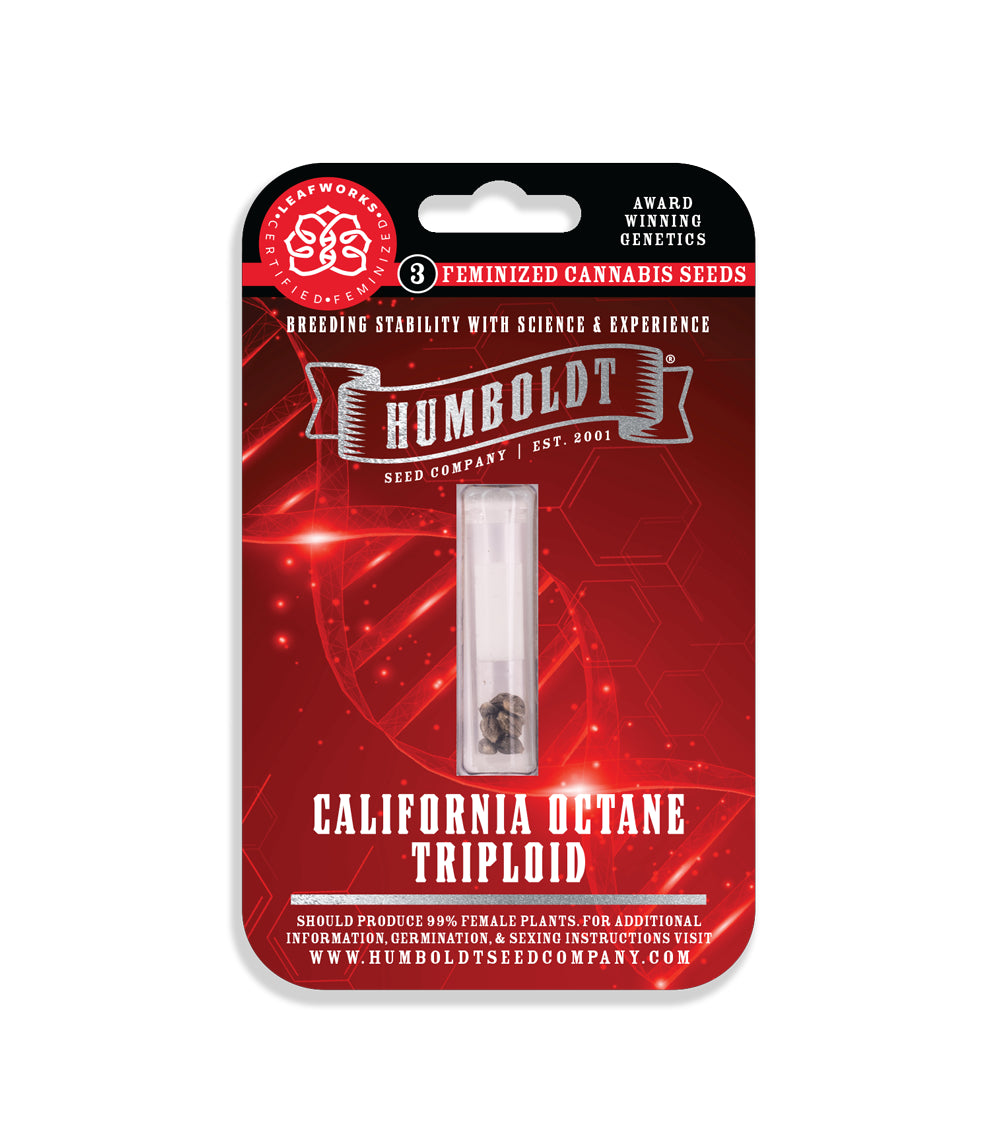 California Octane Triploid 3 seeds