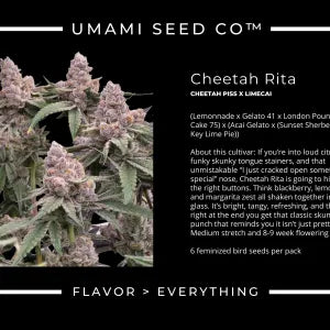 Cheetah Rita (Cheetah Piss x Limecai) 6 seeds + 3 Sour D Zoda