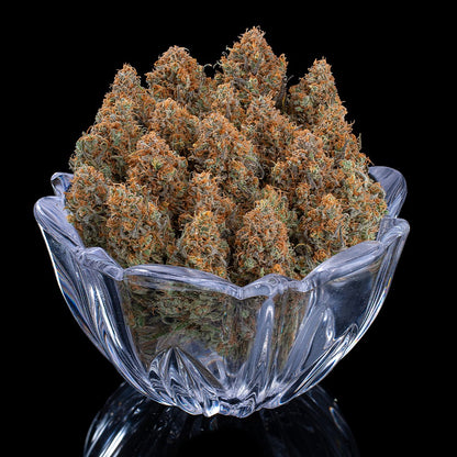 Cinderella Purple [(Purple Urkle x C99) x Cinderella 99) 9 seeds + 1 Freebie