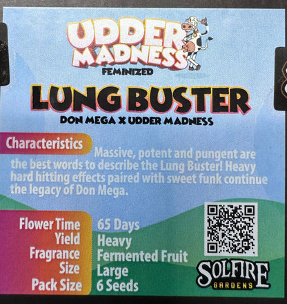 Lung Buster 6-Pack (Don Mega x Udder Madness) + 3x Section A (Apple Fritter x Hood Candyz) Fems