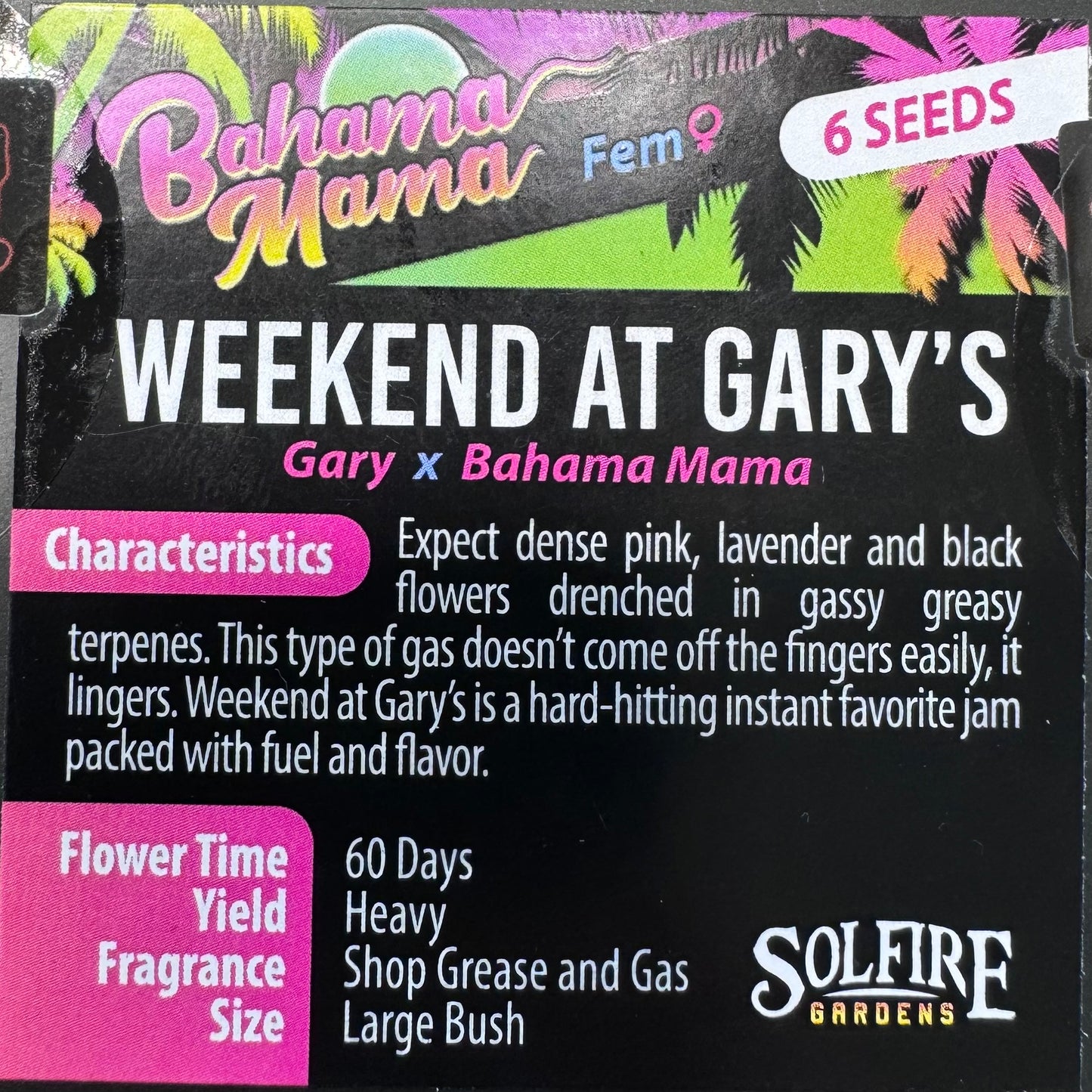 Weekend At Gary’s 6-Pack (Gary Payton x Bahama Mama) + 3x Section A (Apple Fritter x Hood Candyz) Fems