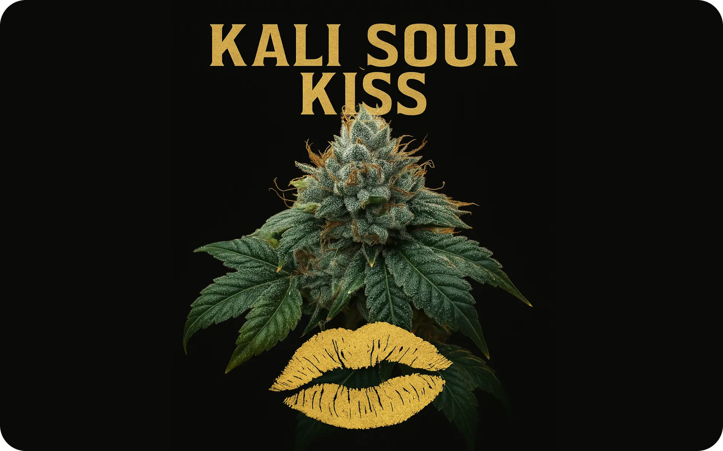 Kali Sour Kiss (Kali Sour Kush x The Smooch) Reg 12 seeds