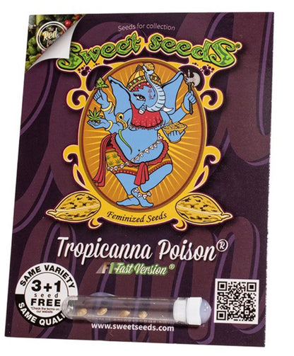 Tropicana Poison F1 „Fast Version“ 5+2 seeds