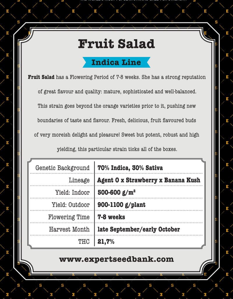 Fruit Salad (Agent 0 x Strawberry x Banana Kush) 1 seed