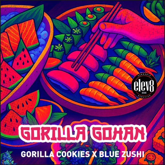 Gorilla Gohan (Gorilla Cookies x Blue Zushi) 6-Pack + 1 Gorilla Glue #4