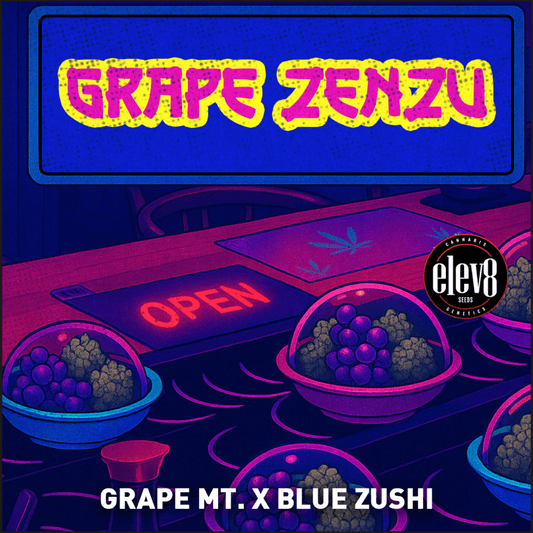 Grape Zenzu (Grape Mountain x Blue Zushi) 6-Pack