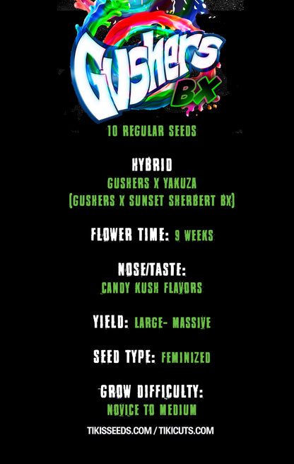 Gushers Bx F2 (Gushers x Yakuza) Regular 10 seeds