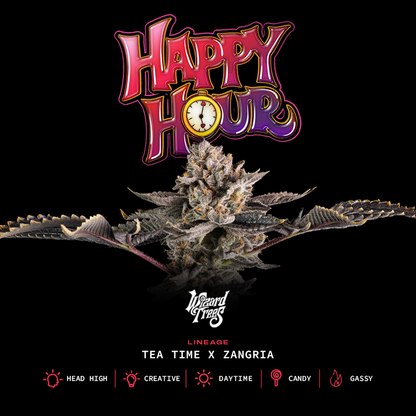 Happy Hour (Tea Time x Zangria) 3 seeds