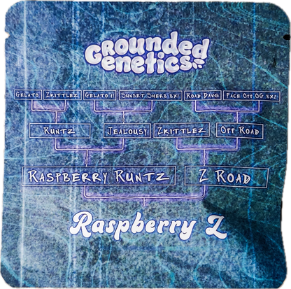 Raspberry Z (Raspberry Runtz x  Z Road) 7-Pack