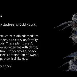 Gushari (Poison Gushers x ZeClair) 6 seeds + 3 Sour D Zoda