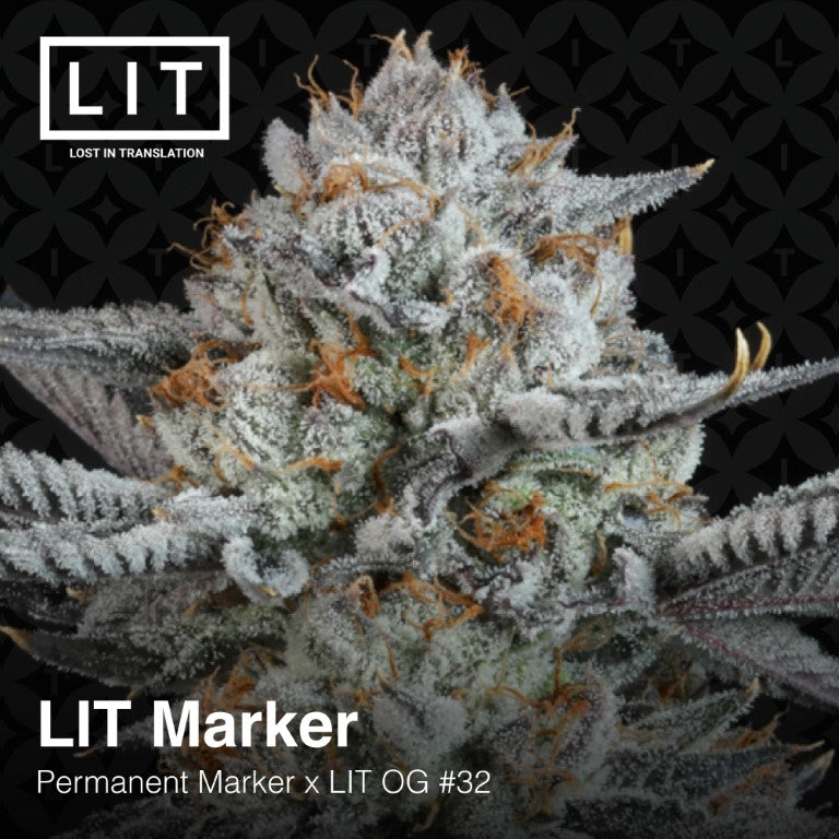 LIT Marker (Permanent Marker x LIT OG #32) 6-Pack