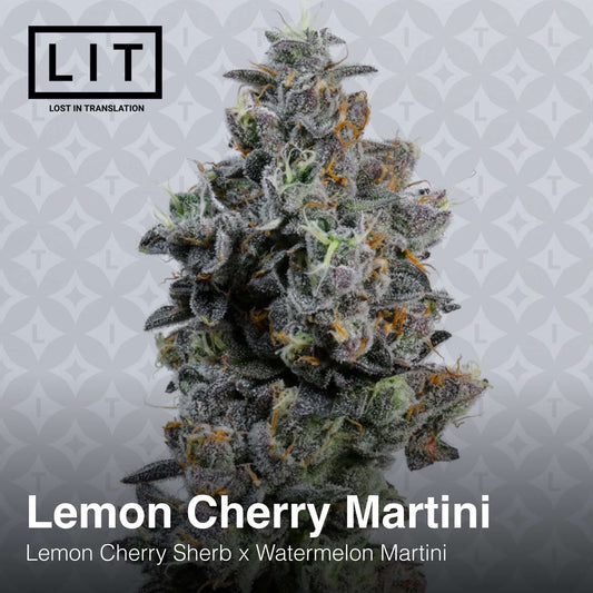 Lemon Cherry Martini (LEMON CHERRY SHERB X WATERMELON MARTINI) 12-Pack