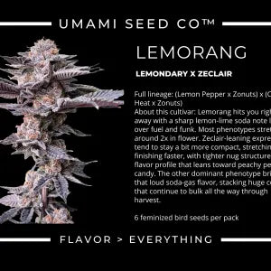 Lemorang (Lemondary x ZeClair) 6 seeds + 3 Sour D Zoda