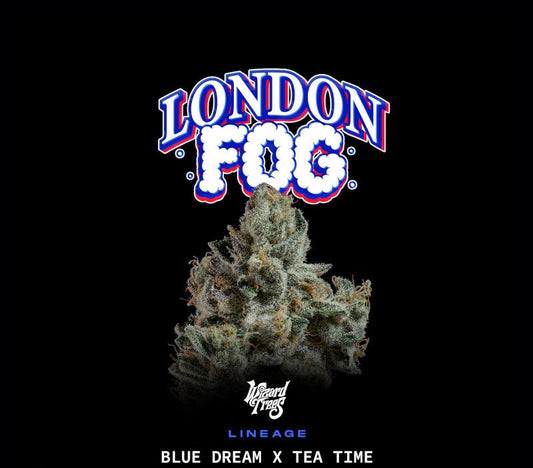 London Fog (Blue Dream x Tea Time) 3-Pack