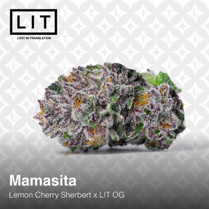 Mamasita (Lemon Cherry Sherbert x LIT OG) 6-Pack