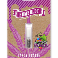 Candy Hustle (Don Carlos x Jose x Grape Menthol) 5 seeds