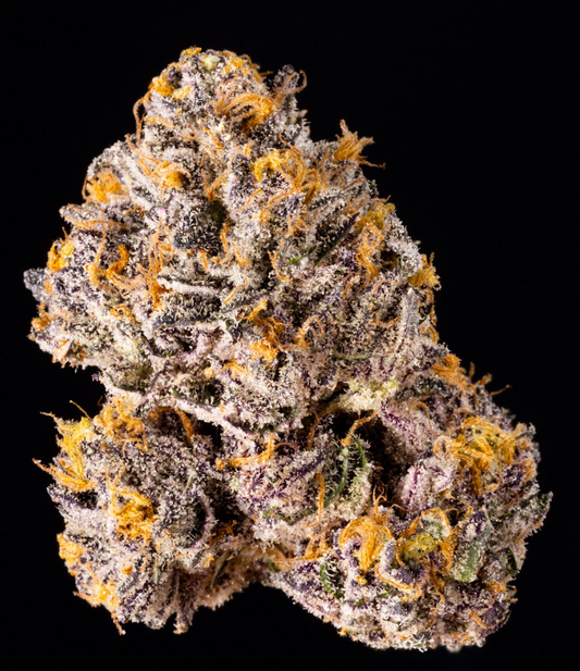 THE KEEPER (ZOAP x RS11) 3 seeds